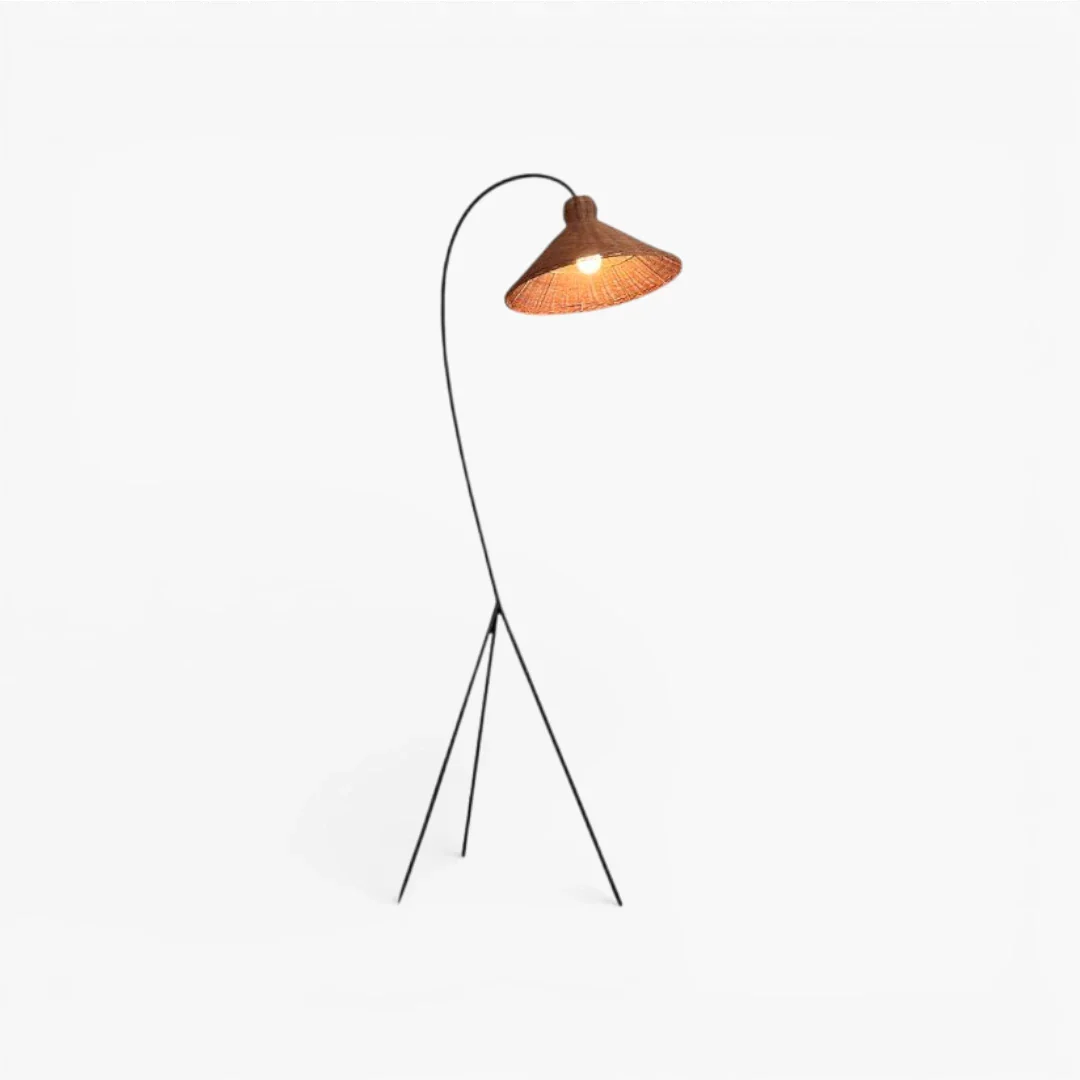 Lampe Sur Pied Ancienne Japonaise