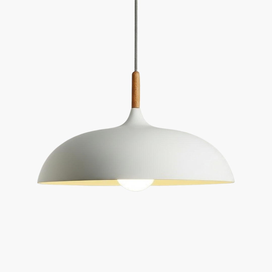 Suspension Aluminium Coloré avec Tige en Bois